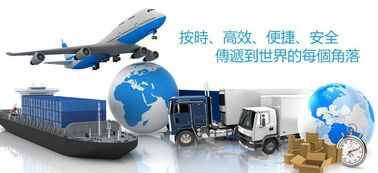 注册上海的国际货物运输代理公司在这里